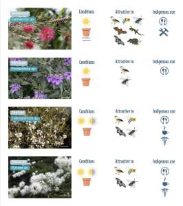 Native australian plant guide